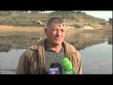 Shkarkimi i punishteve të vajit vret 50 kuintalë peshk - Top Channel Albania - News - Lajme