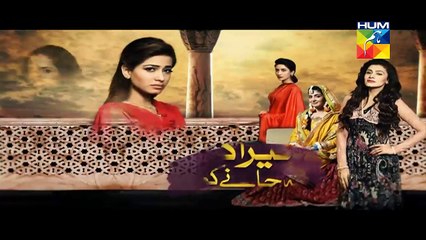 Mera Dard Na Jany Koi Episode 38 Promo HUM TV Drama 16 Dec 2015