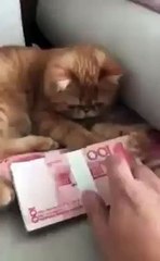 don,t touch its mine hahaha