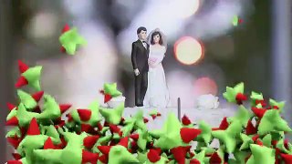 Wedding Disasters Pranks - Best of Just For Laughs Gags