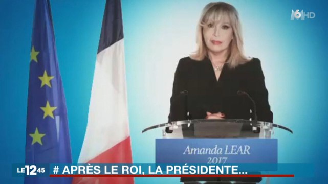 Amanda Lear candidate à la Présidentielle de 2017 ? - ZAPPING ACTU DU 16/12/2015
