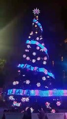 Рождественская ёлка в Сиднее. What is huilo?