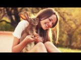 Cosas que debes saber si quieres un conejo de mascota