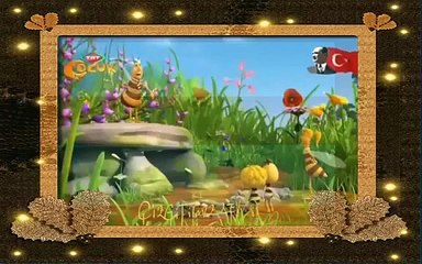 Arı Maya Paylaşılamayan Çiçek