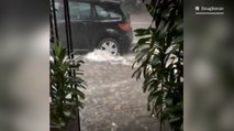 Flash flooding and severe wind gusts rip through Sydney