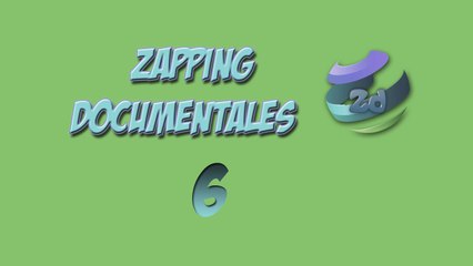ZAPPING DOCUMENTAL 6