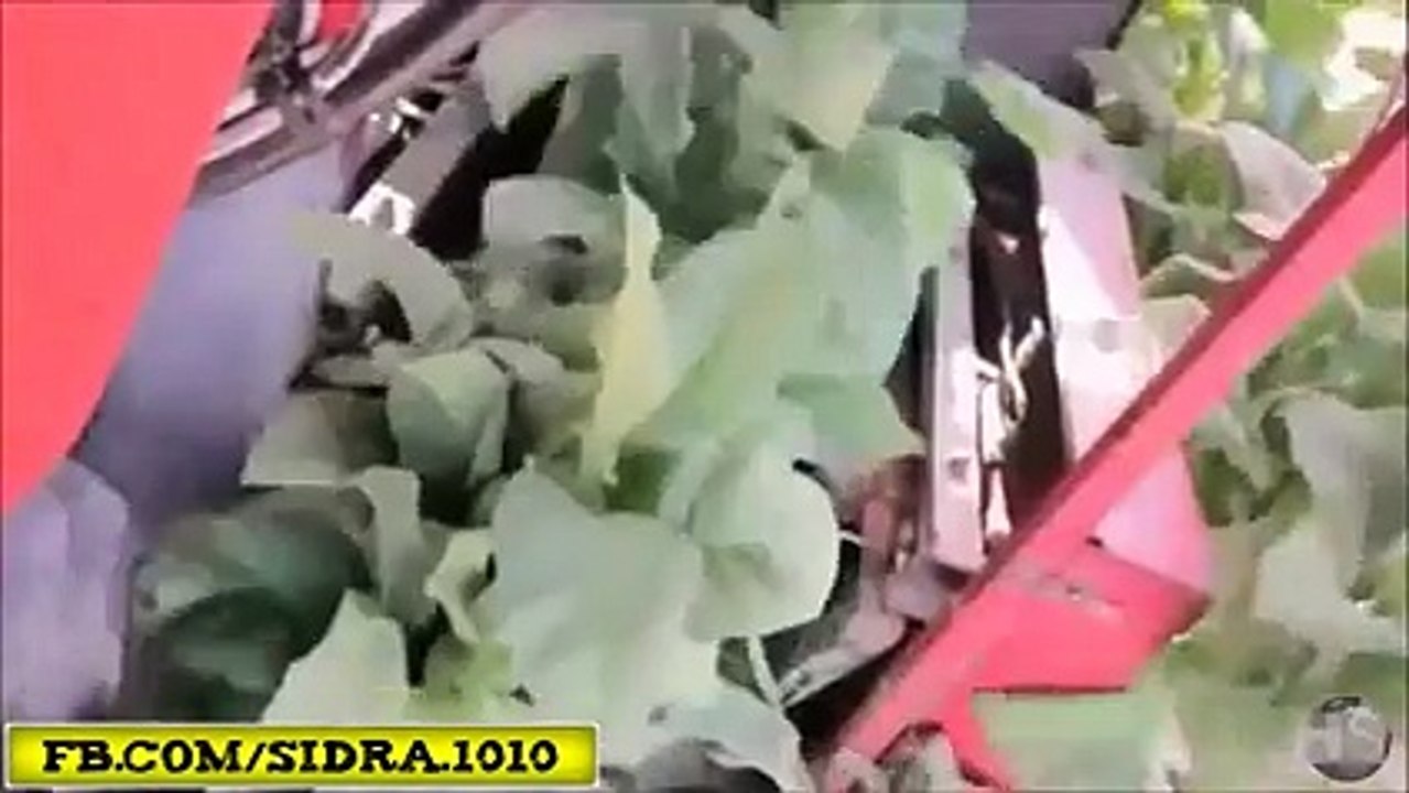 یہ تو بہت فٹ ہے