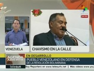 Analistas: MUD no frenará Revolución pues tiene contrapeso de poderes