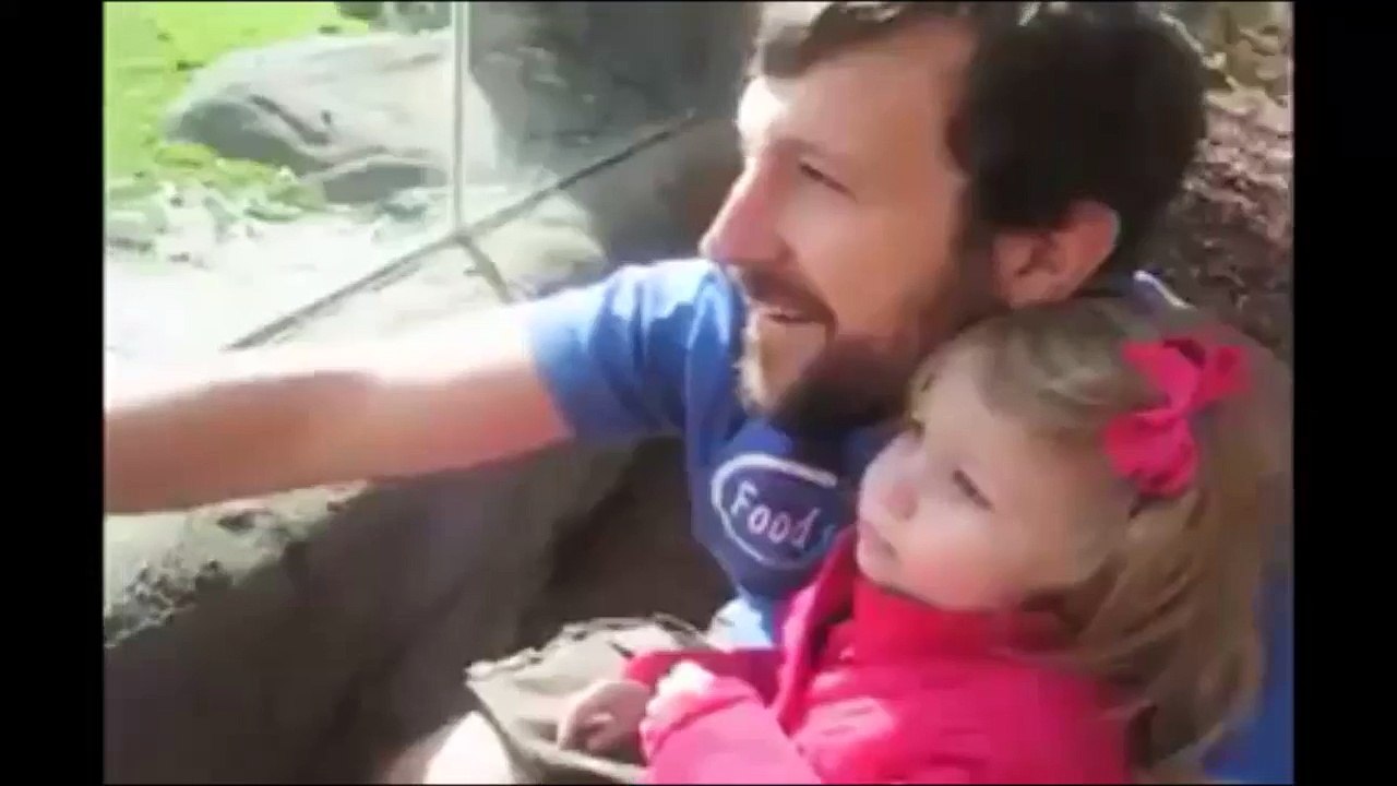 Stare At This! Ass Hole - Hilarious Monkey