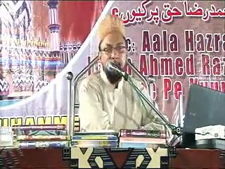 Touseef ur Rehman, Jarjis Ansari kay Ahlesunnat pe Jhothay Ilzamaat, Maulana Farooq Khan Rizvi