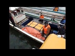 Korban Tenggelamnya Tongkang Sumber Mas-22 Terjebak di Balik Peti Kemas