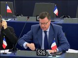 Edouard Ferrand Parlement européen débat préparatoire Conseil européen 17/18 décembre 2015