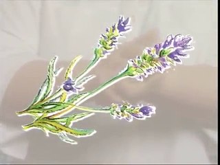 Apprendre à masser - relaxation