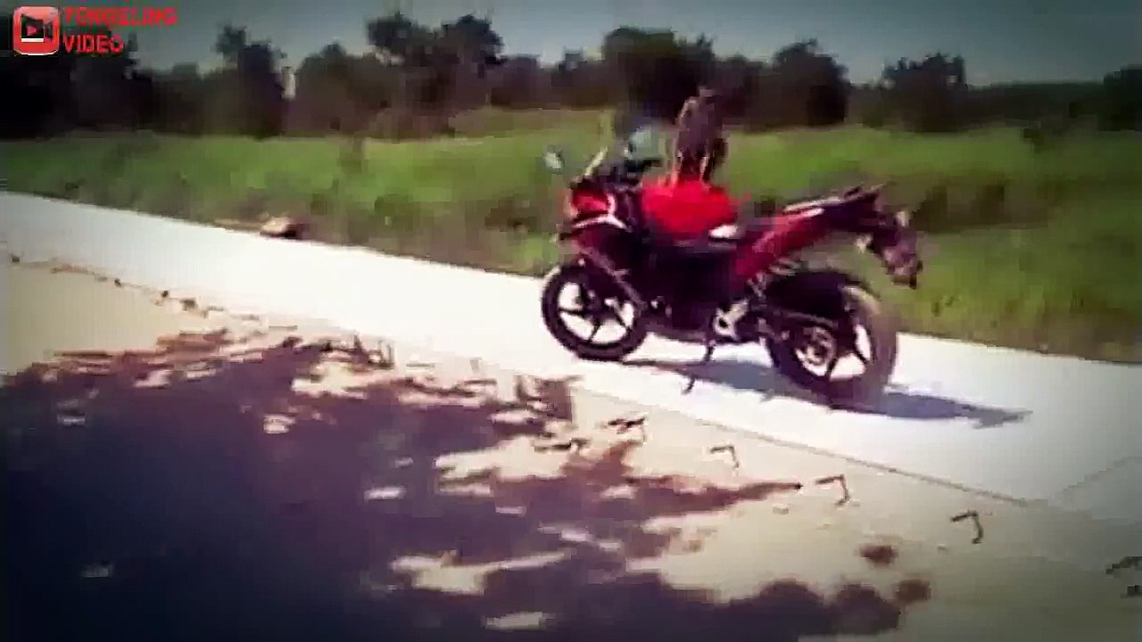 Monkey attack owner bike