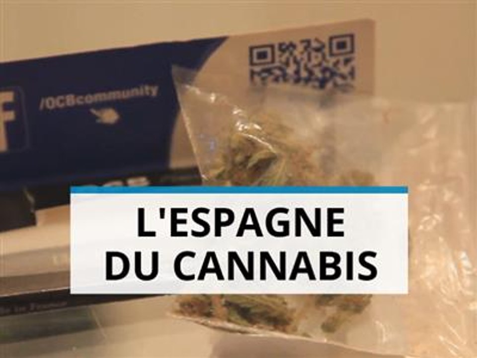 L'Espagne, le faux-paradis des fumeurs de joints