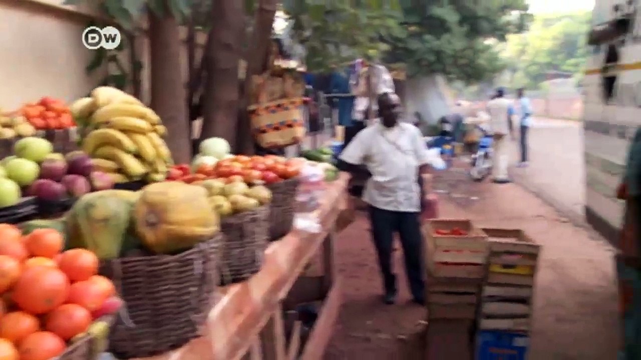 City farming in West Africa | DW News