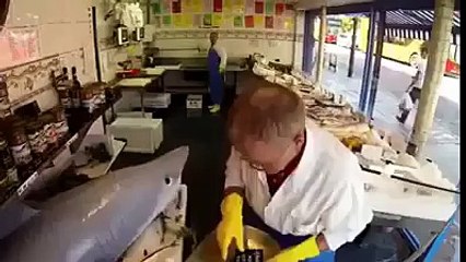 ha ha ha funny video