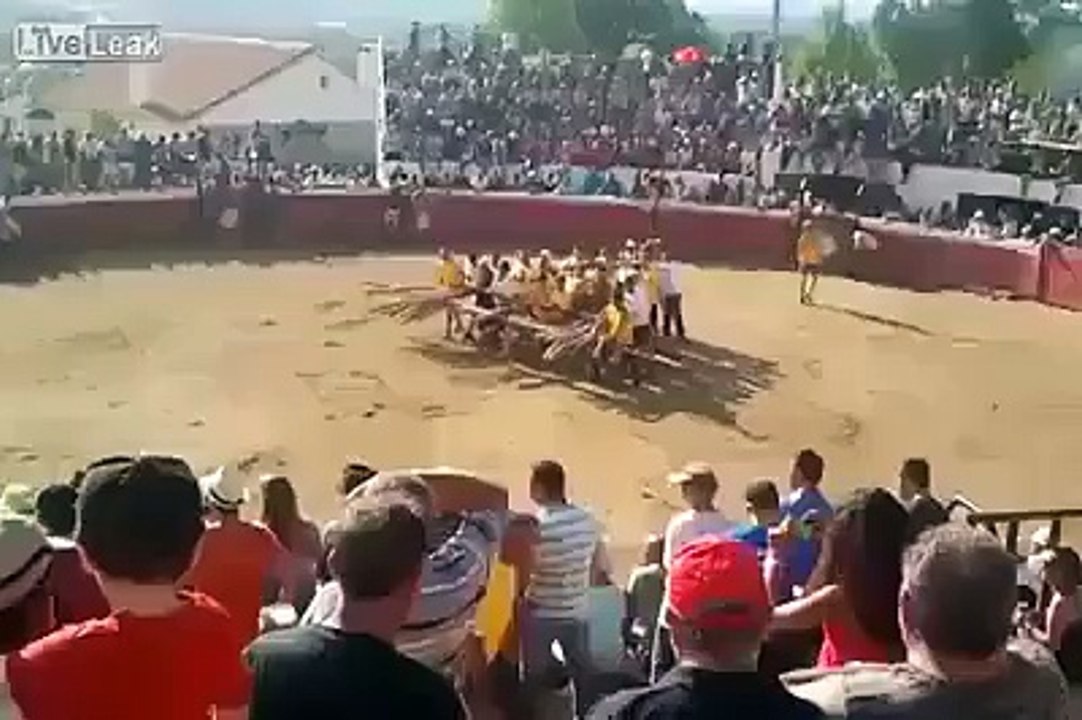 made bull gone made