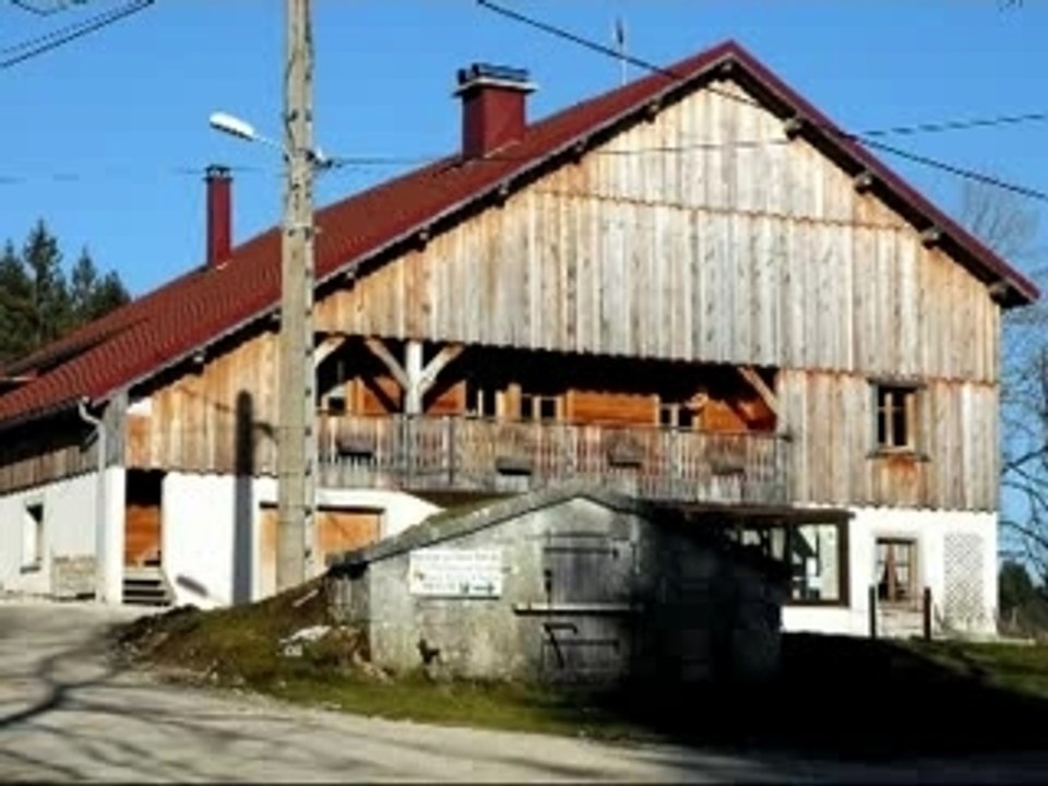 Attelage chevaux comtois