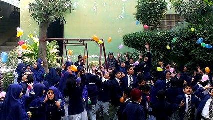 Aims Grammar High School