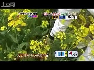 V6・岡田准一 地元応援CM！？「菜の花とオレ」