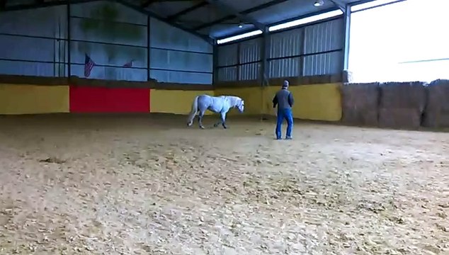 topaze longe main droite