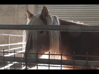 Messina - La Dia sequestra beni all'imprenditore Santalucia (16.12.15)