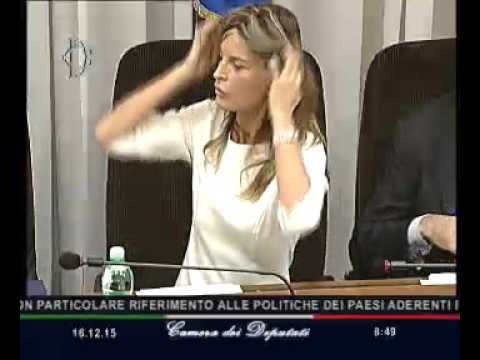 Roma - Flussi migratori, audizione Direttore Dipartimento (16.12.15)