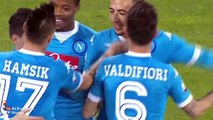 Jose Callejon Goal Napoli	3 - 0	Verona (Coppa Italia) 2015