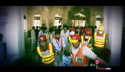 Gul Panra Presents Special Tribute To The Martyrs APS