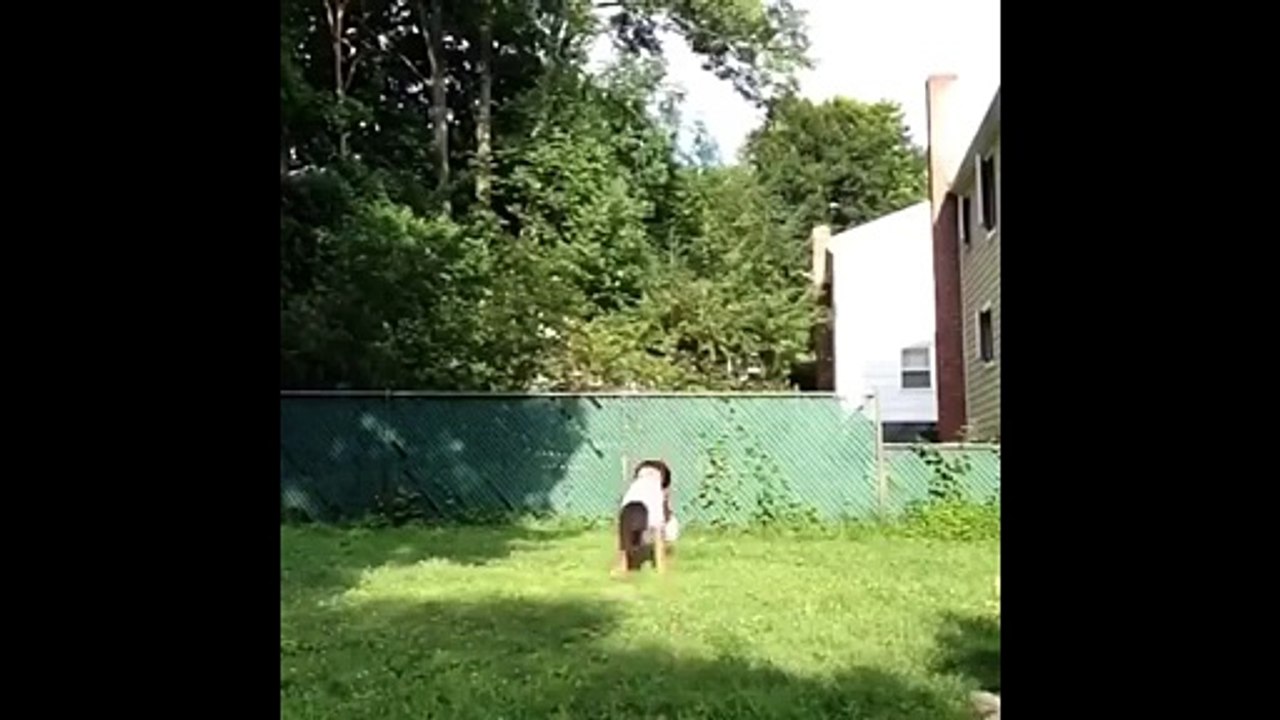 Best Funny Videos - Funny Fails - Funny Pranks - funny videos accident - funny videos gags