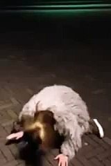 New 2016 Watch As She Makes a Huge Shaft Disappear - Funny Videos