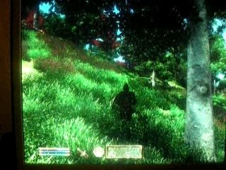oblivion vdeo 2