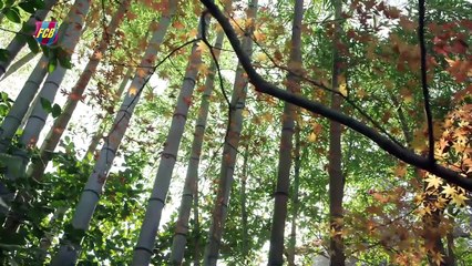 BEHIND THE SCENES JAPAN 2015 (Day 3) – FC Barcelona-Guangzhou preview