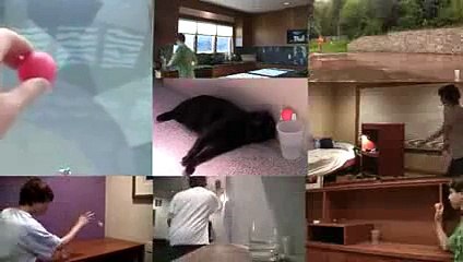 New 2016 Amazing Ping Pong Trick Shots - Funny Videos