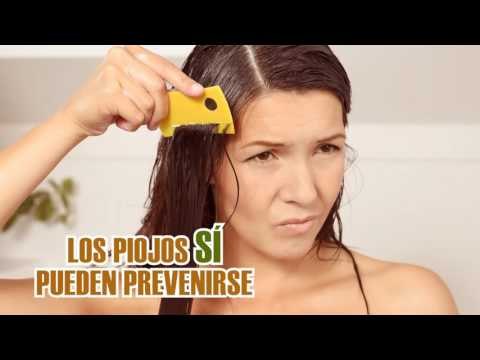 Mitos y Realidades Destierra mitos y piojos de tu cabeza y tu casa V1