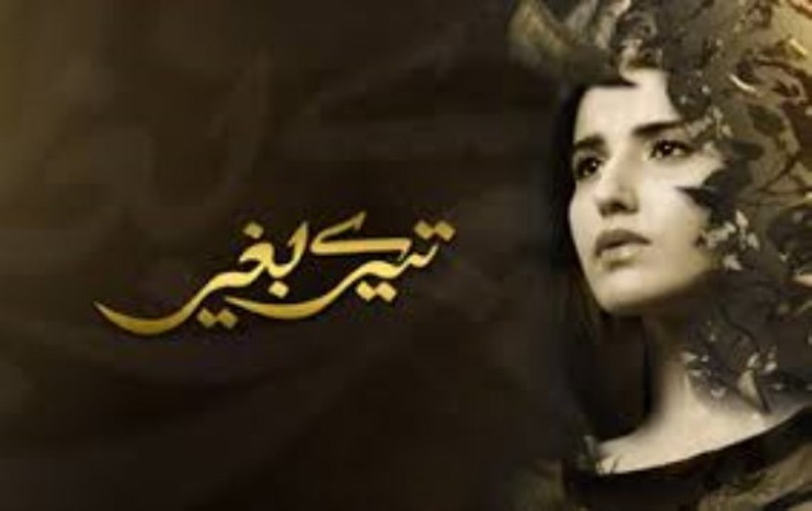 Tere Baghair Episode 4 Full HUM TV Drama 16 Dec 2015