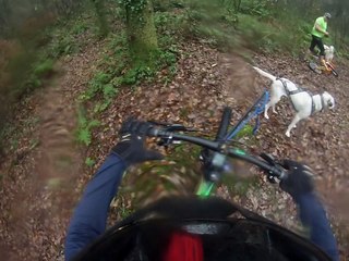 cani vtt laika et trot 2015