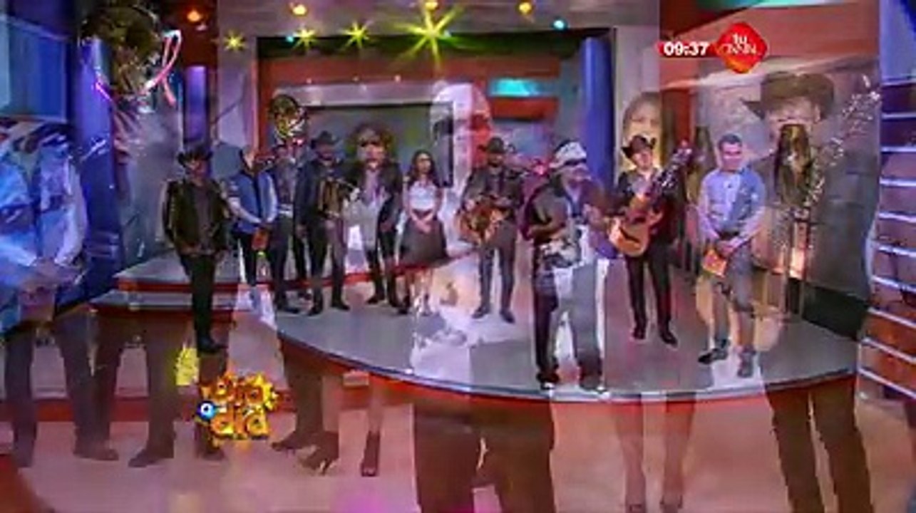 Reflexión "vive"