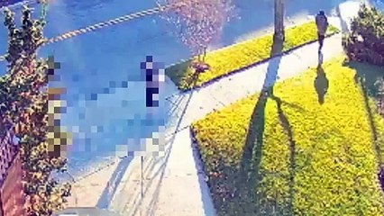 Queens Slashing Suspect, December 16, 2015