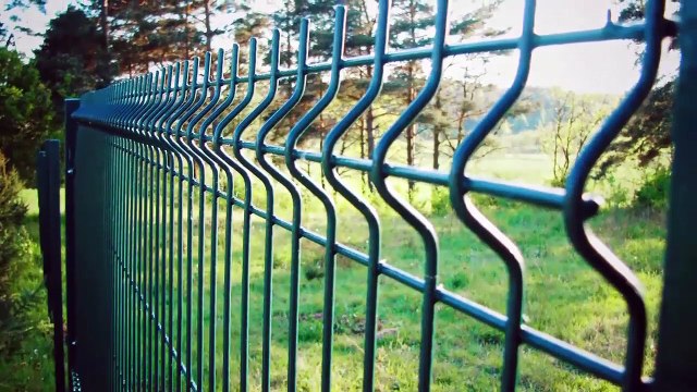 5 ИСТОРИЙ О ЖИВОТНЫХ, СПАСШИХ ЛЮДЕЙ