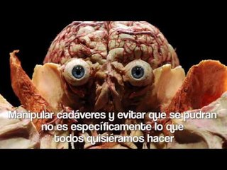 Los Trabajos Mas Asquerosos