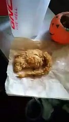 Rat frit dans une boîte de nuggets KFC