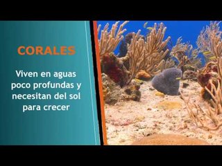 El Ranking más sorprendente sobre la naturaleza y sus creaciones