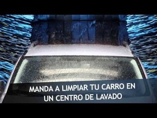 13 sencillas formas de ayudar al medio ambiente