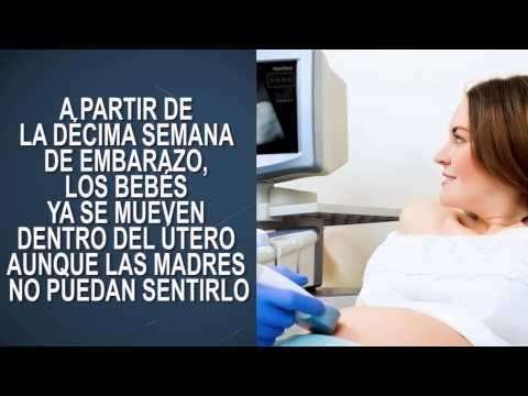 15 datos que debes saber si estás embarazada