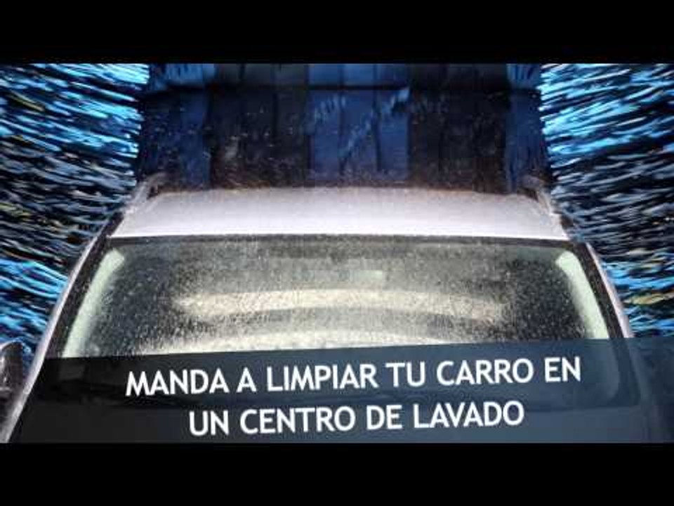 13 sencillas formas de ayudar al medio ambiente