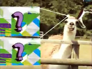 Promo Porque Sí (Campamento Lakebottom Nuevos Episodios Noviembre 2014) en Disney XD