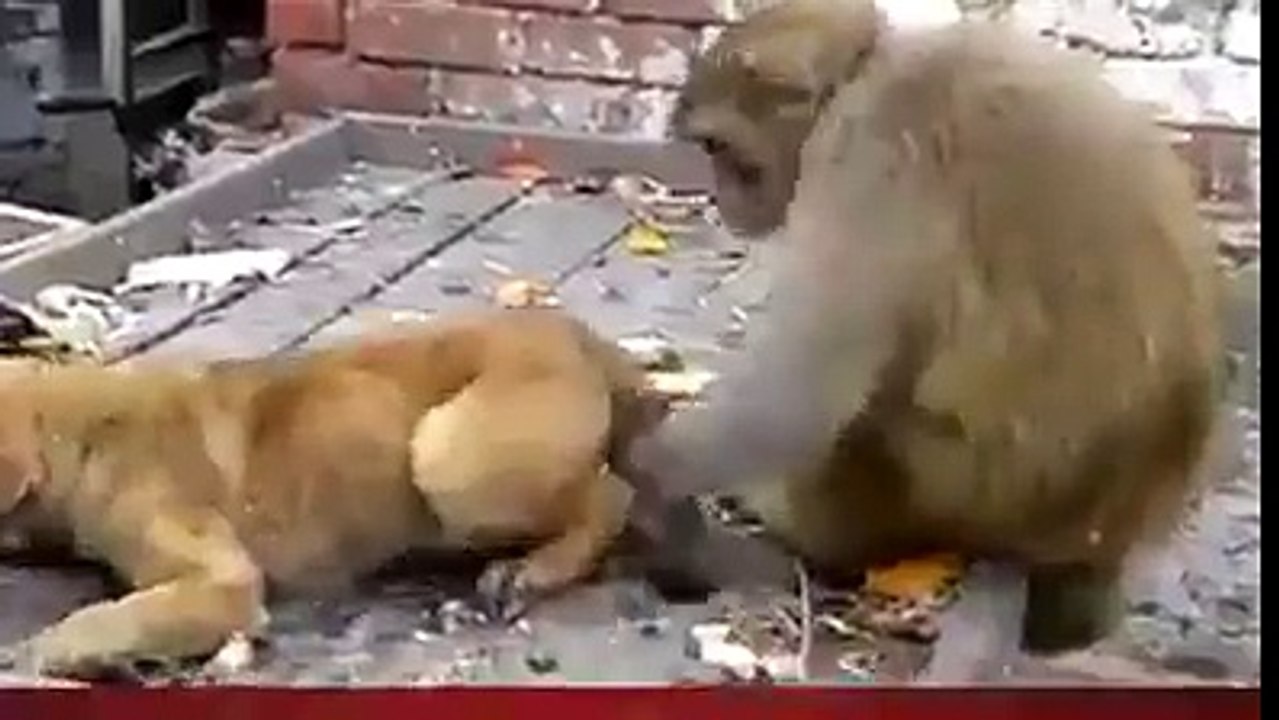 الرخامة على أصولها