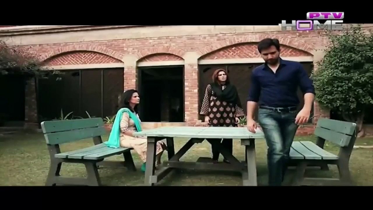 Zindagi Mujhay Tera Pata Chahiye Episode 30 - Ptv Home